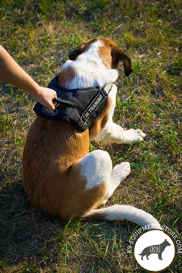 Russian Watchdog harness with reliably stitched handle