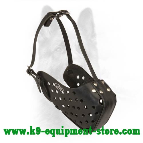 Canine Agitation Leather Dog Muzzle