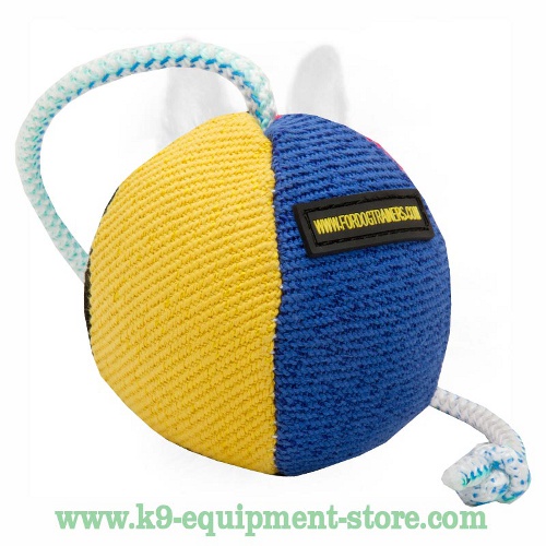 Training and Playing K9 French Linen Dog Toy