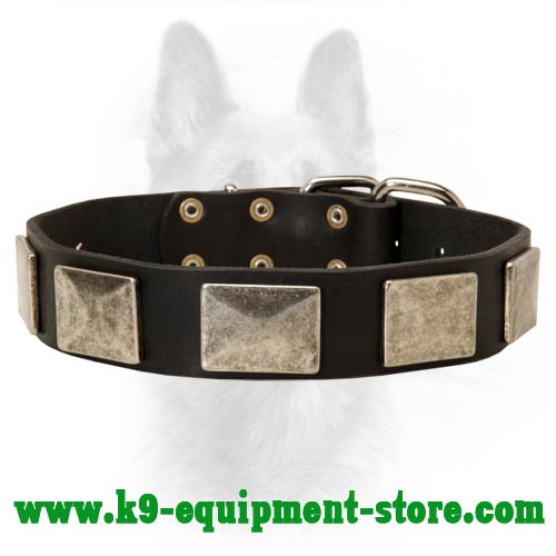 Handcrafted Leather Dog Collar with Vintage Massive Nickel Plates for Canine
