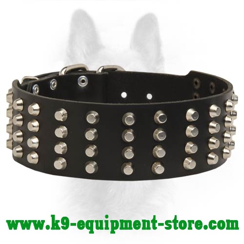 Studded Leather Dog Collar-2 Inch Wide Collar For Canine