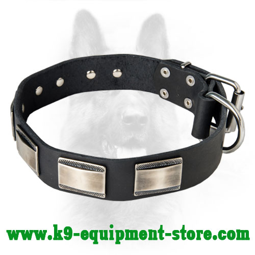 Canine Deluxe Leather Dog Collar With Plates