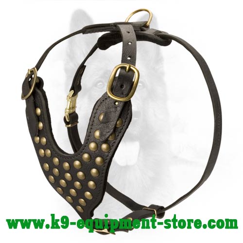 Walking and Training 2 Ply Studded Leather K9 Harness
