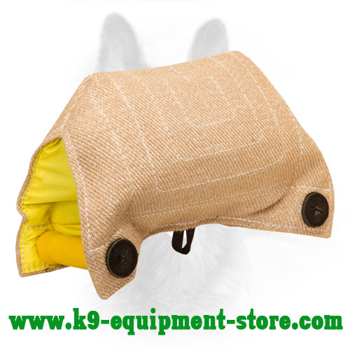 K9 Jute Bite Builder for Training Puppies