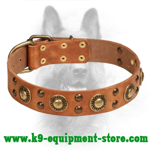 'Space-Like' Leather Dog Collar with Brass Decorations