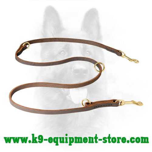 Leather deals leash store