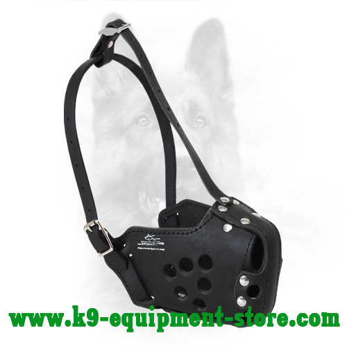Agitation Training Leather K9 Muzzle