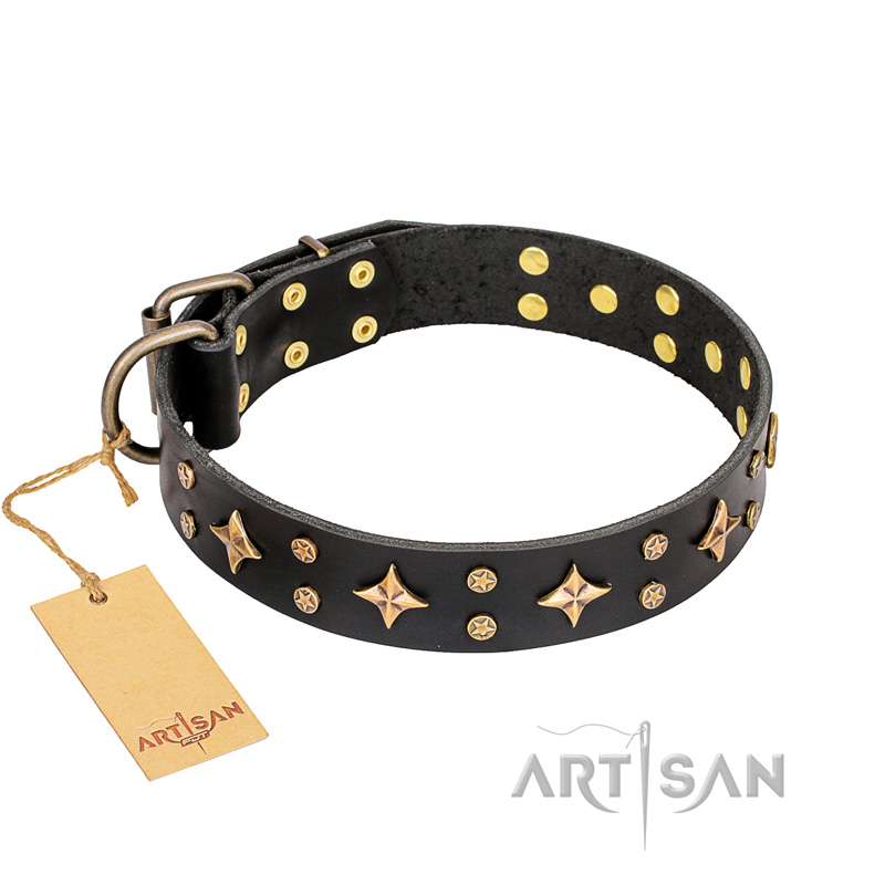 'A La Mode' FDT Artisan Hand Decorated Black Leather Dog Collar