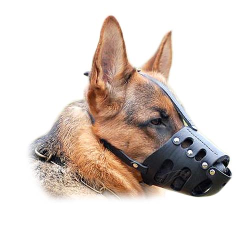 Lite Comfortable Well Ventilated Leather K9 Dogs Muzzle