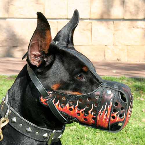 Hand painted Leather Dog Muzzle 'Dondi-FLAMES' for Canine Dog -K9 Dogs