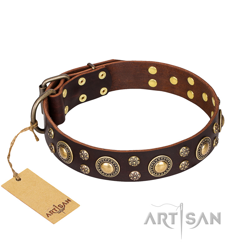 'Flower Melody' FDT Artisan Brown Leather Dog Collar with Mixed Studs for Daily Use