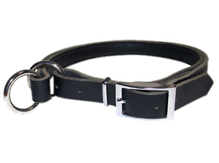 puppy slip collar