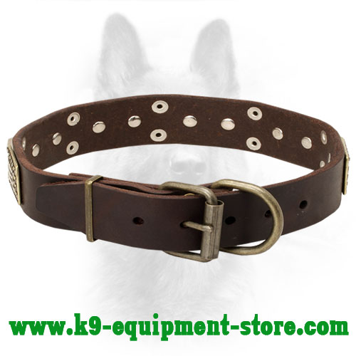 Armour-like Canine Leather Collar with Cones and Plates - Click Image to Close