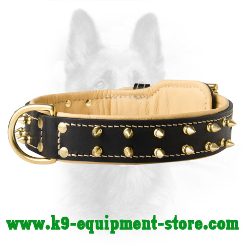 Leather Working Dog Collar With Fur Protection Plate For Canine