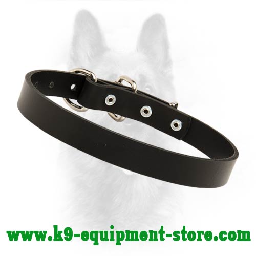 Safe And Comfortable Leather Dog Collar For Police Dogs