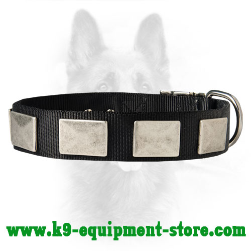 Nylon Dog Collar For K9 Dogs With Vintage Plates