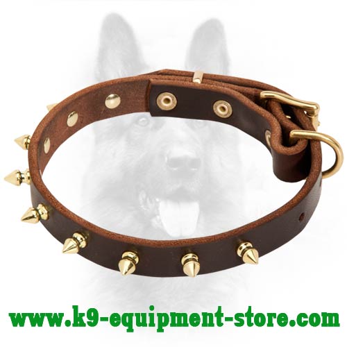 Canine Leather Dog Collar With 1 Row Of Brass Spikes