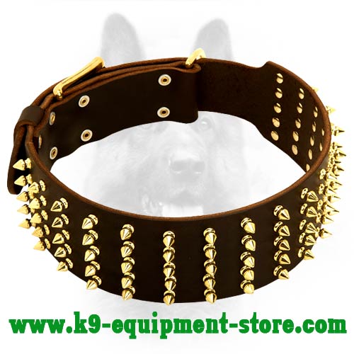 Leather Custom Dog Collar With Brass-Plated Fittings