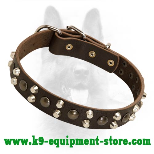 Custom Studded Leather Dog Collar For Canine - Click Image to Close