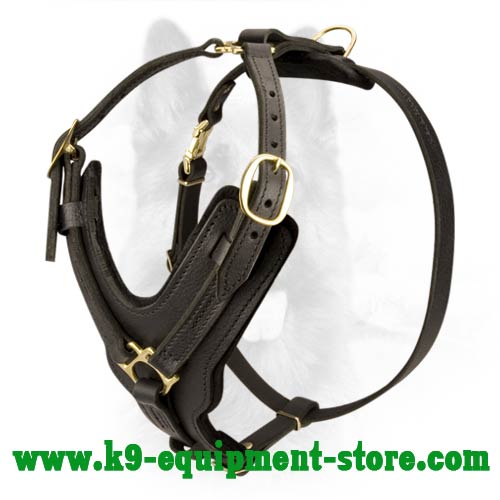 Exclusive Training and Walking Leather Canine Harness - Click Image to Close