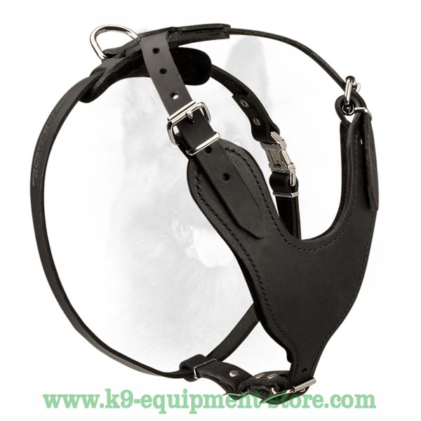 Durable Canine Leather Dog Harness for Overactive Dogs