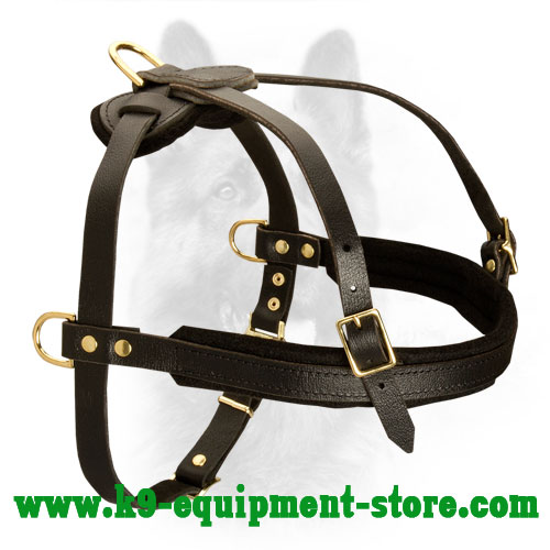 Tracking, Pulling, Training Leather Dog Harness For Canine Dogs