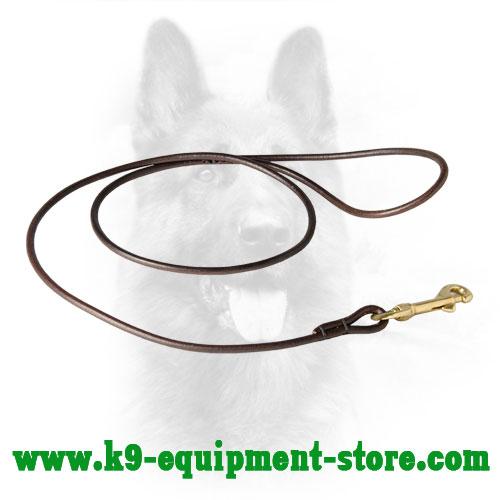 K9 Show Leather Dog Leash