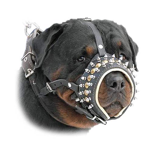 Royal Spiked Leather Dog Muzzle For Canine Dogs