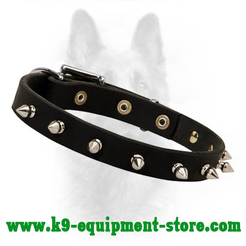 Exquisite Leather Spiked Dog Collar For Police Dogs