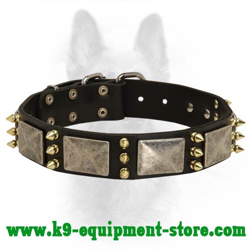 Gorgeous K9 Dog Leather Dog Collar With Massive Plates And Brass Spikes