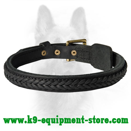 Stunning Leather K9 Dog Collar With Braid