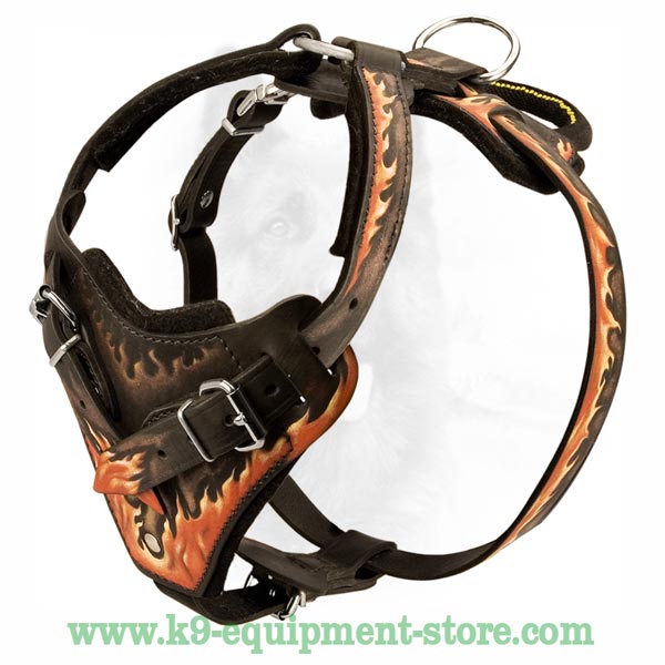 Painted In Flames Attack, Agitation Training K9 Leather Dog Harness