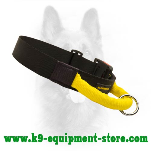 Easily Adjustable Nylon Dog Collar With Durable Handle