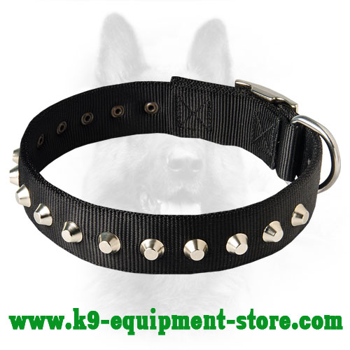 1 Row Studs Dog Collar-1 1/4" For Canine Dogs