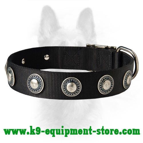 Nylon Dog Collar With Silver Conchos For Police Dogs