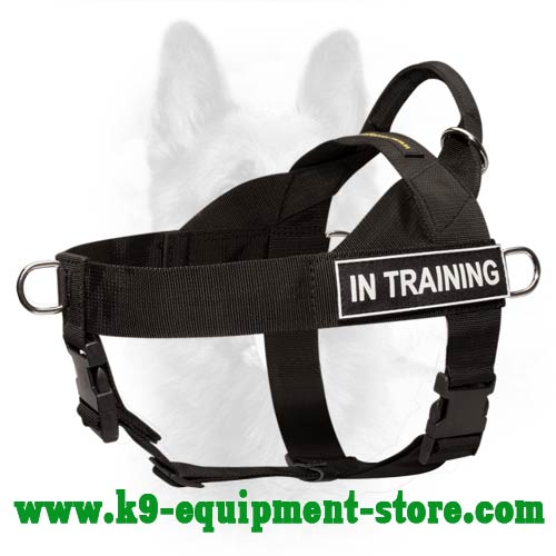 Search & Rescue Canine Nylon Dog Harness With Patches