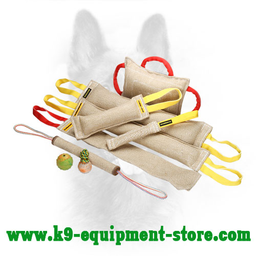 Buy Jute Dog Training Set Bite Roll Toys Rag Pad