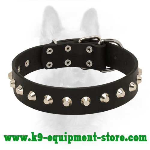 1 Row Nickel Studded Leather K9 Collar for Dog Walking in Style and Basic Training