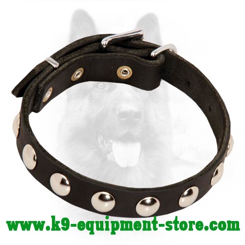 Leather Canine Collar with Round Studs - Click Image to Close