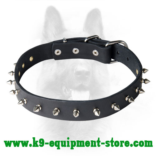 Spiked Leather Dog Collar for Canine Walking in Style