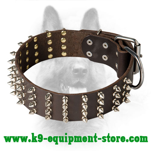 Leather Spiked Canine Dog Collar