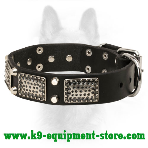 Leather K9 Collar with Nickel-Plated Decorative Elements