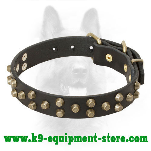 Studded Leather Collar for Police Dogs