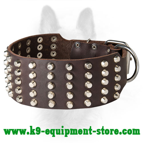 Super Wide Leather Canine Collar with Cones