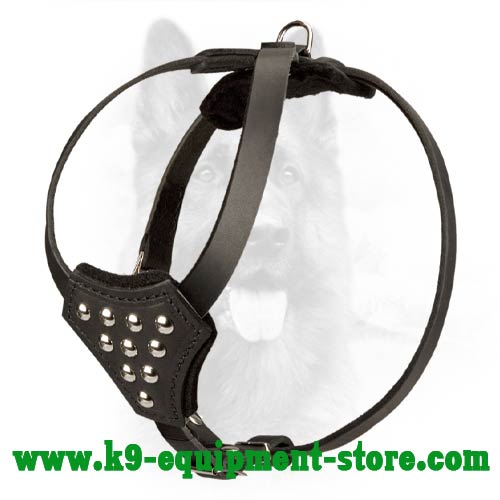 Canine Puppy Leather Harness with Nickel Studs
