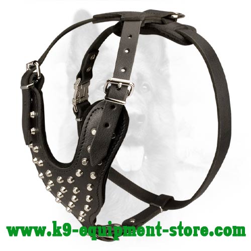 Studded Leather Dog Harness for Canine Walking