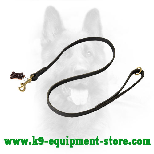 Flat Leather Dog Leash for K9 with Gold-Color Fittings
