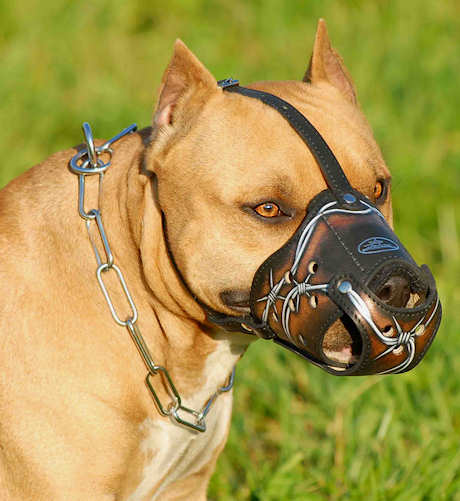 k9 dog muzzle