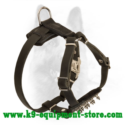 Police Dog Puppy Leather Harness with Nickel Spikes