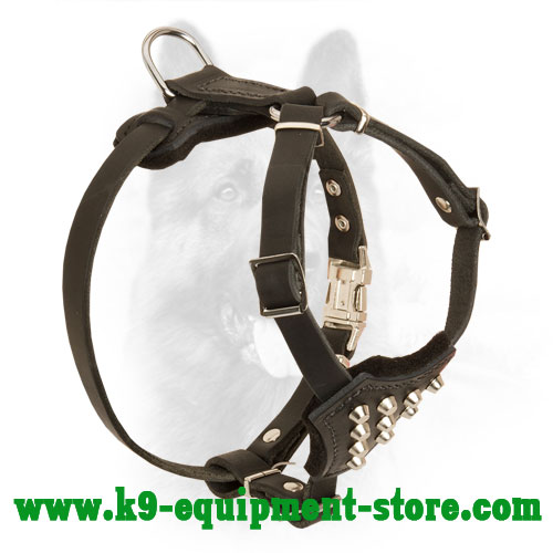 Extraordinary Studded Leather Harness for Police Dog Walking
